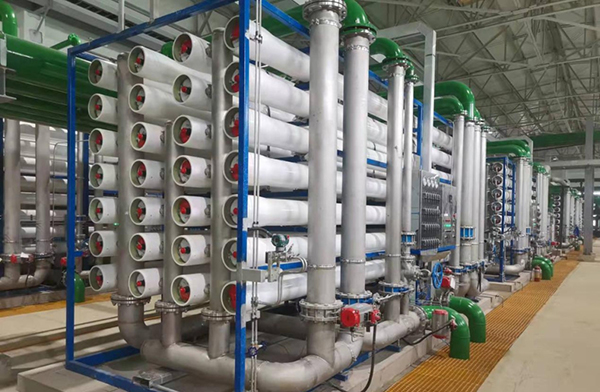 1642063300159706.jpg 9.jpg