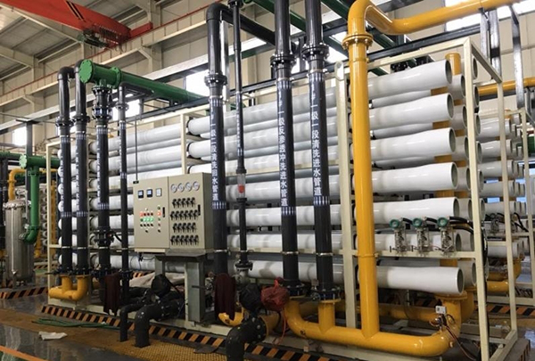 1642063315809564.jpg 10.jpg